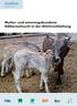 Merkblatt 2018 Nr Mutter- und ammengebundene Kälberaufzucht in der Milchviehhaltung