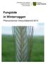 Fungizide in Winterroggen. Pflanzenschutz-Versuchsbericht 2013