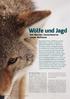 Wölfe und Jagd Kein Märchen: Deutschland ist wieder Wolfsland