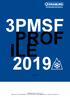 3PMSF PROF ILE Version 2019/01