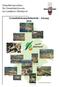 Gutachterausschuss für Grundstückswerte im Landkreis Oberhavel. Grundstücksmarktbericht - Auszug 2010