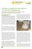 Alternativen zu importierten Sojaerzeugnissen in der deutschen Geflügelfütterung