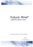 Future Mind. Leadership Maturity Survey. Unternehmenssimulator für Führungskräfte