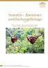 Sumatra Abenteuer und Dschungelkönige (12 Tage)