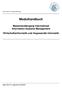 Modulhandbuch. Masterstudiengang International Information Systems Management Wirtschaftsinformatik und Angewandte Informatik