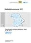 Statistik kommunal 2013