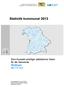 Statistik kommunal 2013