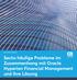 WHITE PAPER MÄRZ Sechs häufige Probleme im Zusammenhang mit Oracle Hyperion Financial Management und ihre Lösung