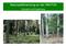 Naturwaldforschung an der NW-FVA. Konzept und Ergebnisse