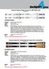 Dynastar Intense 10 inkl. Xpress W 11 B83 White Gold Modell 2017