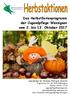 Das Herbstferienprogramm der Jugendpflege Wennigsen vom 2. bis 13. Oktober 2017