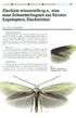 Elachista wieseriella sp.n., eine neue Schmetterlingsart aus Kärnten (Lepidoptera, Elachistidae)