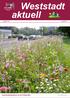 AGeWe Arbeitsgemeinschaft. aktuell. Weststadt. Ausgabe 192 August Sommerblumenbeet an der Elbestraße. Foto: Michael Ludwig