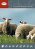 agrarfoto.com Garant-Qualitätsfutter für Schafe