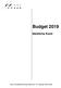 Budget 2019 Sämtliche Konti