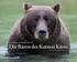 Die Bären der Katmai Küste