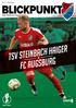 No /2019 TSV STEINBACH HAIGER FC AUGSBURG