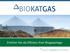 BIOKATGAS. Erhöhen Sie die Effizienz Ihrer Biogasanlage