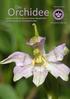 Die. Orchidee. Volume 3(14) Journal der Deutschen Orchideen-Gesellschaft zur Förderung der Orchideenkunde. ISSN-Internet