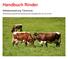 Handbuch Rinder. Selbstevaluierung Tierschutz