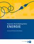Regionaler Wertschöpfungsfaktor ENERGIE. Bedeutung für Wirtschaft und Beschäftigung