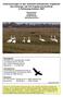 Untersuchungen zu den verbreitet auftretenden Vogelarten des Anhangs I der EU-Vogelschutzrichtlinie in Schleswig-Holstein 2007
