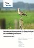 Schutzgebietssystem für Brachvögel in Schleswig-Holstein- Bericht Schutzgebietssystem für Brachvögel in Schleswig-Holstein Bericht 2014