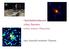 Gravitationslinsen γ-ray Burster extra-solare Planeten. eine Auswahl weiterer Themen