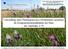 Umsiedlung einer Pfeifengraswiese (Molinietum caeruleae) als Kompensationsmaßnahme des Baus der Autobahn A 39