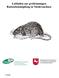 Leitfaden zur großräumigen Rattenbekämpfung in Niedersachsen