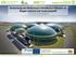 Verwertung von Niedermoor-Paludikultur-Pflanzen als Biogas-Substrat und Torfersatzstoff