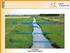 EG Wasserrahmenrichtlinie (WRRL)