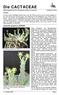 Mitteilungsblatt der DKG-Ortsgruppe Dresden Cactaceae Jahrgang 2 Heft 8 Vorwort