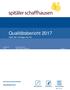 Qualitätsbericht 2017 nach der Vorlage von H+
