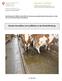 Rascher Harnabfluss von Laufflächen in der Rindviehhaltung