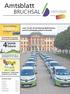 Amtsblatt BRUCHSAL. zeo ist da: 25 Carsharing-Elektroautos und 25 Ladesäulen gehen in Betrieb. Verkaufsoffener Sonntag & Kerwemarkt in Heidelsheim