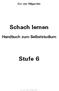 Cor van Wijgerden Schach lernen Handbuch zum Selbststudium Stufe 6