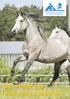 Laufstall-Arbeits-Gemeinschaft e.v. für artgerechte Pferdehaltung FOTOGRAFIE TOSCA SÜTÖ WAS PFERDE ZUM WOHLFÜHLEN BRAUCHEN
