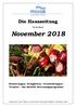 Die Hauszeitung. für den Monat. November Erinnerungen, Neuigkeiten, Veranstaltungen, Termine das aktuelle Betreuungsprogramm!