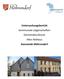 Untersuchungsbericht kommunale Liegenschaften Gemeindescheune Altes Rathaus Gemeinde Möhrendorf