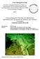 Forschungsbericht. Untersuchung der Wirkung von künstlichen Hartsubstraten auf natürliche Habitate am Großriff Nienhagen