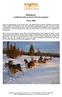 Wildnistour Schlittenhundetour durch Finnisch Lappland