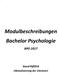 Modulbeschreibungen Bachelor Psychologie