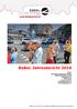 BaBeL Jahresbericht 2016