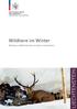 Wildtiere im Winter. Beiträge zu Waldwirtschaft und Jagd in Liechtenstein