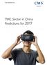 TMC Sector in China Predictions for 2017