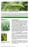 Getreide. fenaco Pflanzenschutz Newsletter Nr Mai 2019