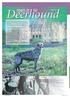 Deerhound POINTS OF THE ZUCHT AURORA 4 UW von Björn Fritz