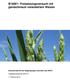 B16001: Freisetzungsversuch mit gentechnisch verändertem Weizen