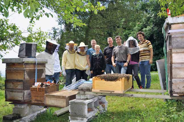 130 Imkerei Bienenzucht Rähmchen Imkerbedarf Königinnenzucht Beekeeping Werkzeug 